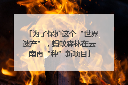 为了保护这个“世界遗产”，蚂蚁森林在云南再“种”新项目